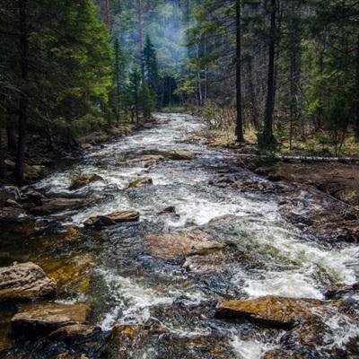 王子文六一带小孩海边游玩 去年曾被曝隐婚生子